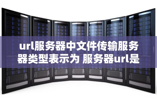 url服务器中文件传输服务器类型表示为 服务器url是什么