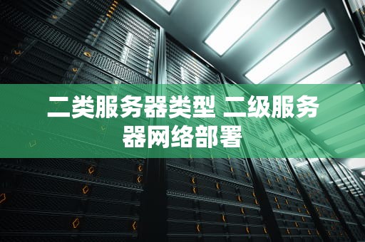 二类服务器类型 二级服务器网络部署