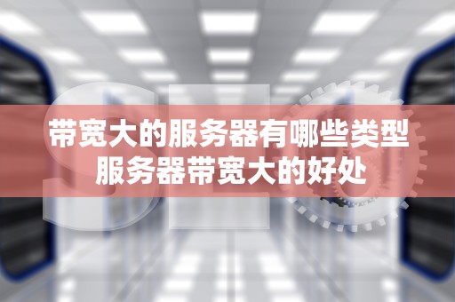 带宽大的服务器有哪些类型 服务器带宽大的好处