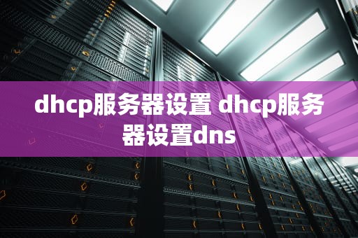 dhcp服务器设置 dhcp服务器设置dns