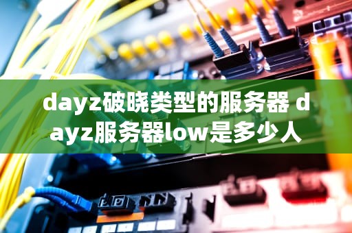 dayz破晓类型的服务器 dayz服务器low是多少人