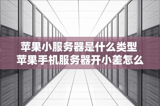 苹果小服务器是什么类型 苹果手机服务器开小差怎么办