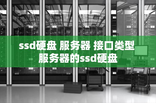 ssd硬盘 服务器 接口类型 服务器的ssd硬盘