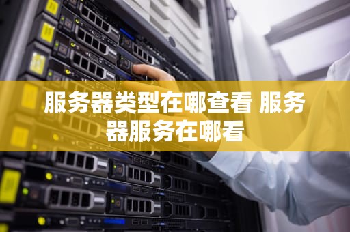 服务器类型在哪查看 服务器服务在哪看