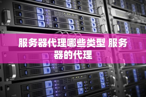 服务器代理哪些类型 服务器的代理