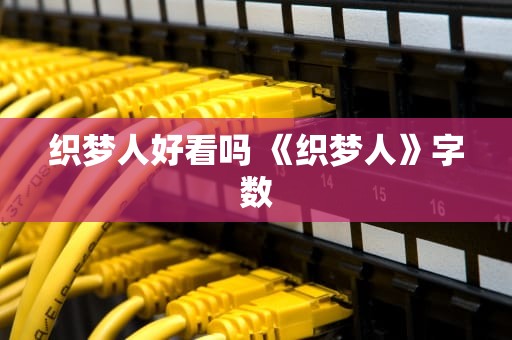 织梦人好看吗 《织梦人》字数