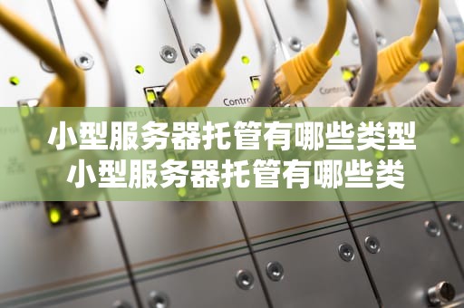 小型服务器托管有哪些类型 小型服务器托管有哪些类型公司