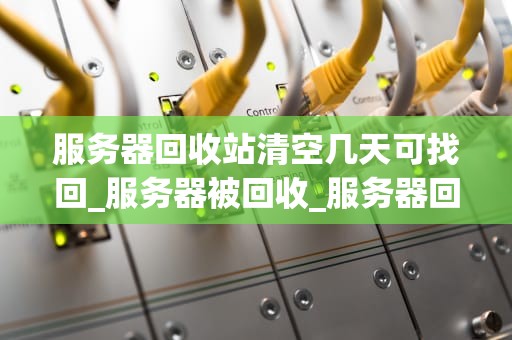 服务器回收站清空几天可找回_服务器被回收_服务器回收站清空后的恢复机制及其时间限制