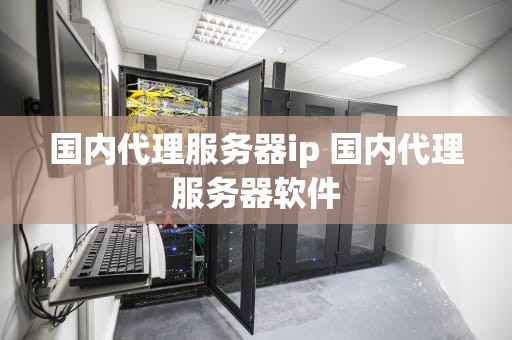 国内代理服务器ip 国内代理服务器软件