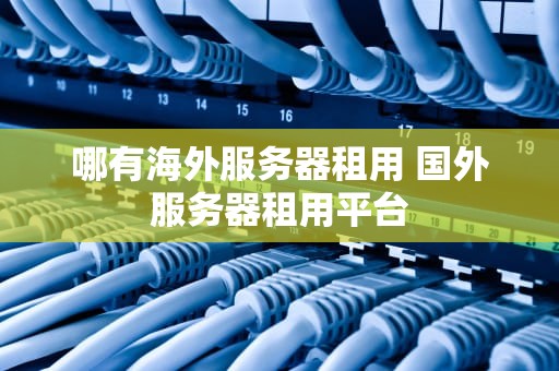 哪有海外服务器租用 国外服务器租用平台