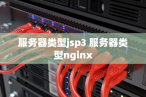 服务器类型jsp3 服务器类型nginx