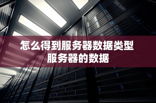 怎么得到服务器数据类型 服务器的数据