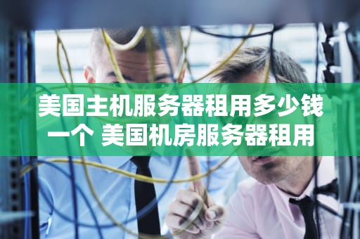 美国主机服务器租用多少钱一个 美国机房服务器租用