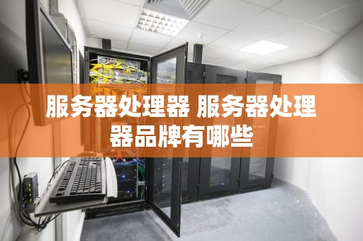 服务器处理器 服务器处理器品牌有哪些