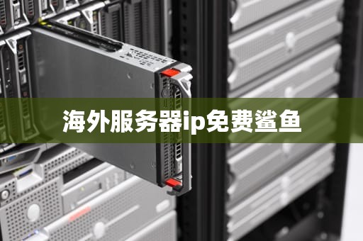 海外服务器ip免费鲨鱼