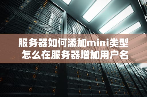服务器如何添加mini类型 怎么在服务器增加用户名