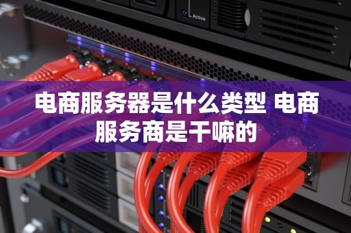 电商服务器是什么类型 电商服务商是干嘛的
