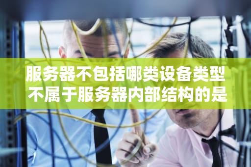 服务器不包括哪类设备类型 不属于服务器内部结构的是