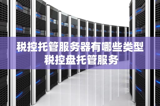 税控托管服务器有哪些类型 税控盘托管服务
