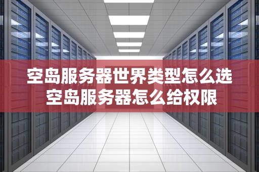 空岛服务器世界类型怎么选 空岛服务器怎么给权限