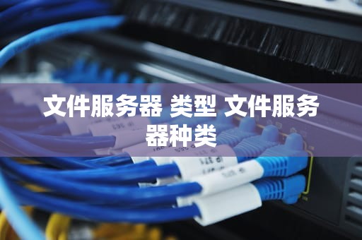 文件服务器 类型 文件服务器种类