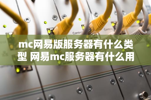 mc网易版服务器有什么类型 网易mc服务器有什么用