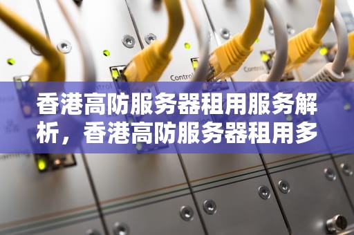 香港高防服务器租用服务解析，香港高防服务器租用多少钱