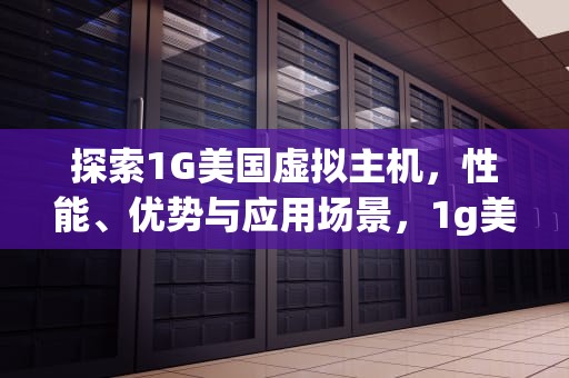 探索1G美国虚拟主机，性能、优势与应用场景，1g美国虚拟主机多少钱