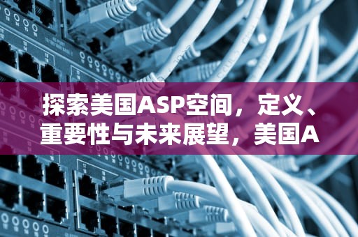 探索美国ASP空间，定义、重要性与未来展望，美国ASP空间日志能看吗