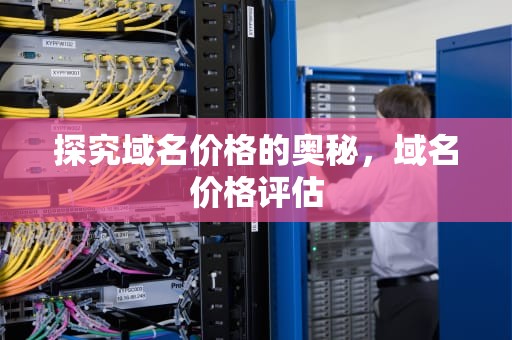 探究域名价格的奥秘，域名价格评估