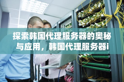 探索韩国代理服务器的奥秘与应用，韩国代理服务器ip去哪买