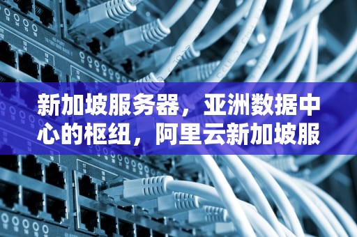 新加坡服务器，亚洲数据中心的枢纽，阿里云新加坡服务器