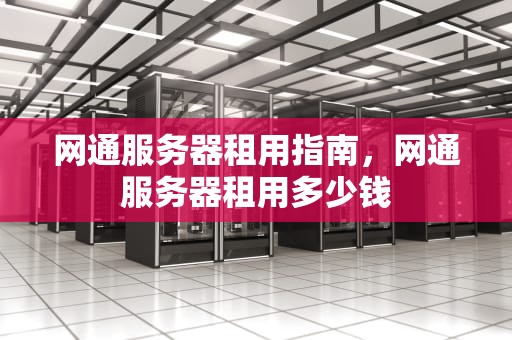 网通服务器租用指南，网通服务器租用多少钱