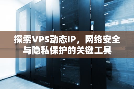 探索VPS动态IP，网络安全与隐私保护的关键工具