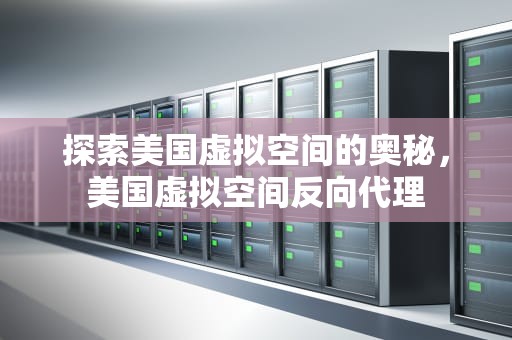 探索美国虚拟空间的奥秘，美国虚拟空间反向代理