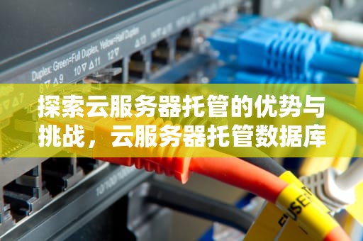 探索云服务器托管的优势与挑战，云服务器托管数据库