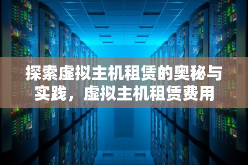 探索虚拟主机租赁的奥秘与实践，虚拟主机租赁费用