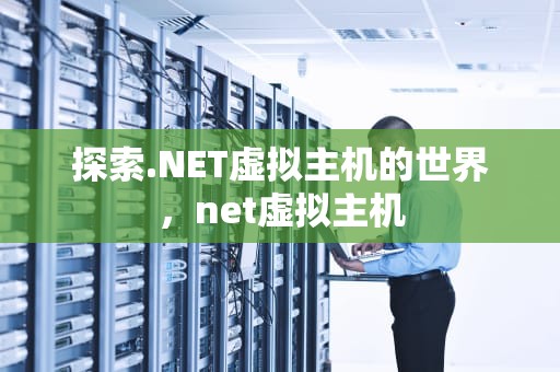 探索.NET虚拟主机的世界，net虚拟主机