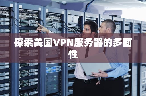 探索美国VPN服务器的多面性