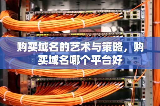 购买域名的艺术与策略，购买域名哪个平台好