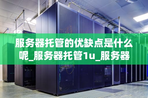 服务器托管的优缺点是什么呢_服务器托管1u_服务器托管的优缺点分析