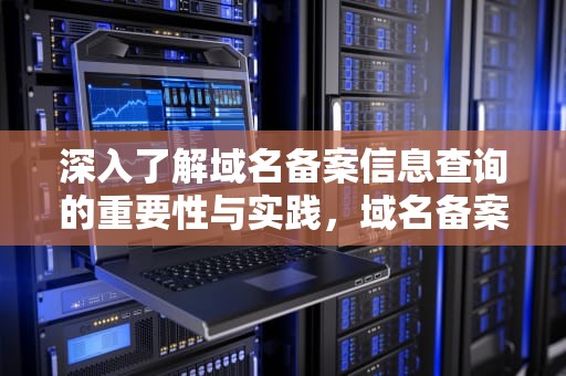 深入了解域名备案信息查询的重要性与实践，域名备案信息查询官网