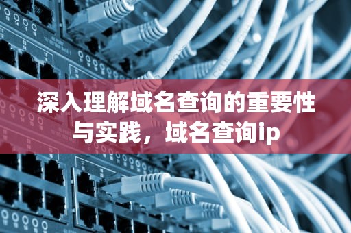 深入理解域名查询的重要性与实践，域名查询ip