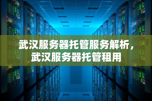 武汉服务器托管服务解析，武汉服务器托管租用