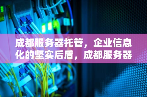 成都服务器托管，企业信息化的坚实后盾，成都服务器托管公司