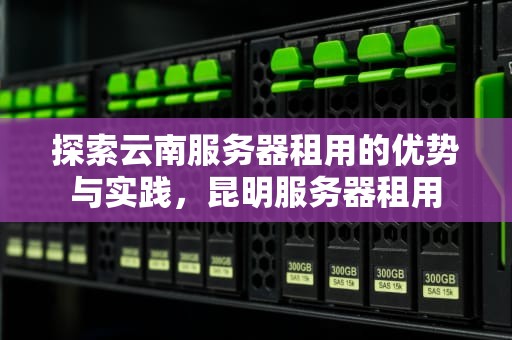 探索云南服务器租用的优势与实践，昆明服务器租用