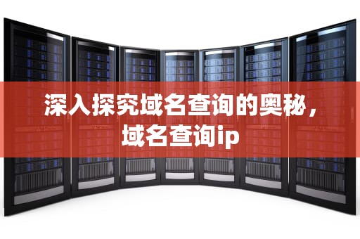 深入探究域名查询的奥秘，域名查询ip