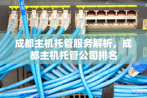 成都主机托管服务解析，成都主机托管公司排名