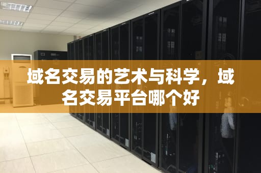 域名交易的艺术与科学，域名交易平台哪个好
