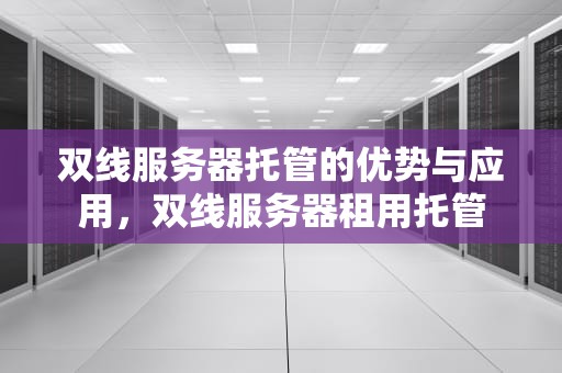 双线服务器托管的优势与应用，双线服务器租用托管